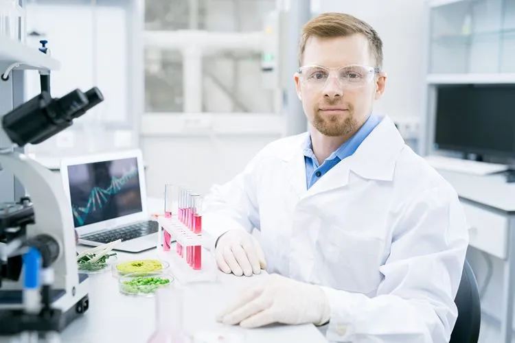 Researcher working with laboratory samples — Akkermansia muciniphila requires strict anaerobic conditions to culture
